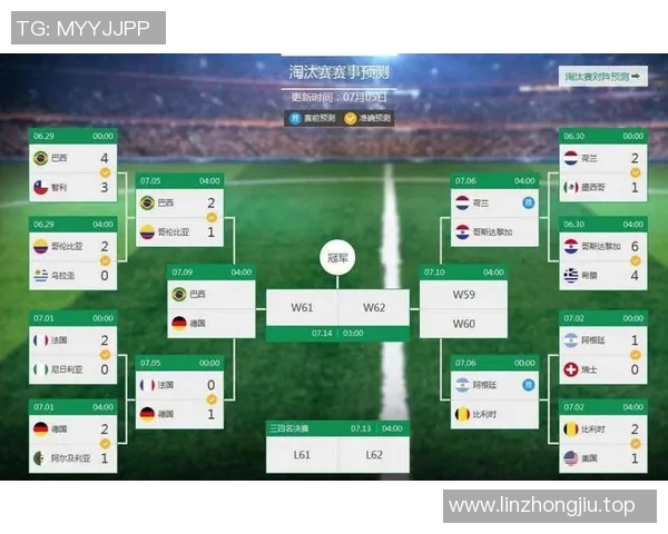 足球世界杯赛事数据挖掘及应用